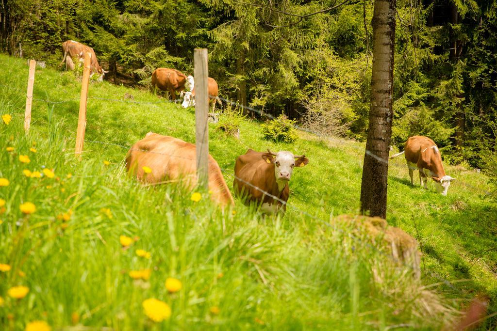 Walcherhof Arriach Eksteriør billede
